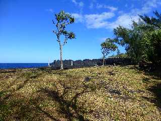 St-Philippe - Sentier littoral - Cap Mchant