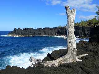 St-Philippe - Sentier littoral - Cap Mchant