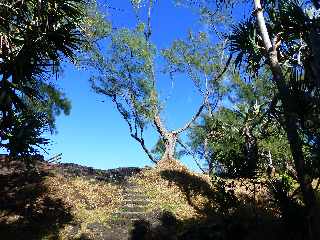 St-Philippe - Sentier littoral - Cap Mchant