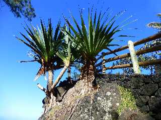 St-Philippe - Sentier littoral - Cap Mchant - Vacoas