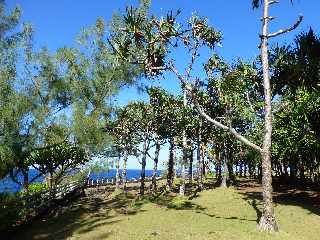 St-Philippe - Sentier littoral - Cap Mchant