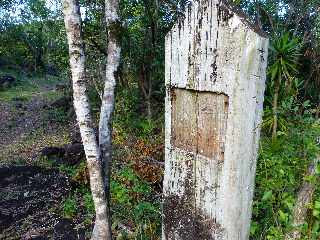 St-Philippe - Sentier littoral -  Basse Valle -