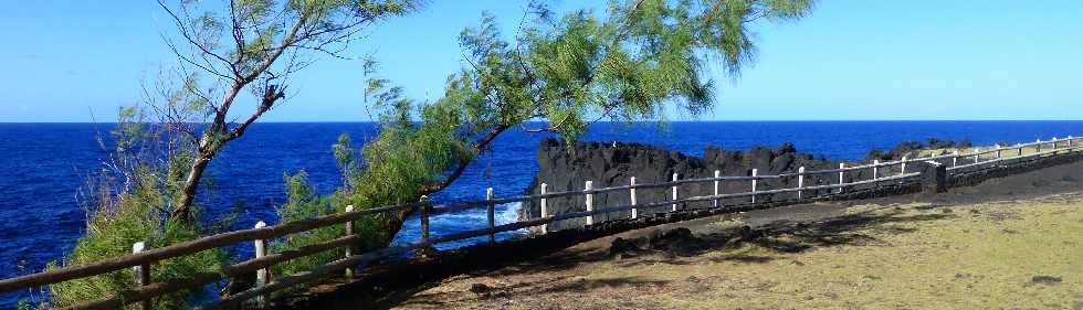 St-Philippe - Sentier littoral - Cap Mchant - Filaos