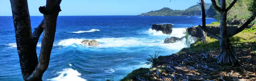 St-Philippe - Sentier littoral - Cap Mascarin