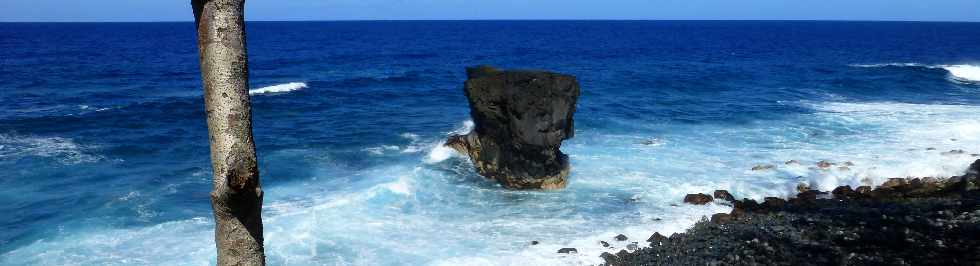 St-Philippe - Sentier littoral - Cap Mascarin