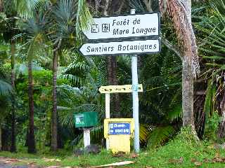 St-Philippe - Sentiers boraniques - Mare Longue