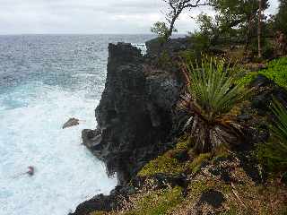 St-Philippe - Littoral proche du Souffleur d'Arbonne -