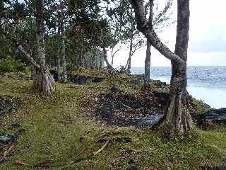 St-Philippe - Littoral proche du Souffleur d'Arbonne -