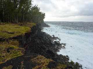 St-Philippe - Littoral proche du Souffleur d'Arbonne -