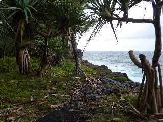 St-Philippe - Littoral  - Vacoas