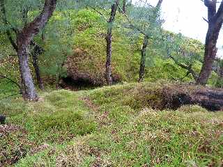 St-Philippe - Sentier du Littoral  -