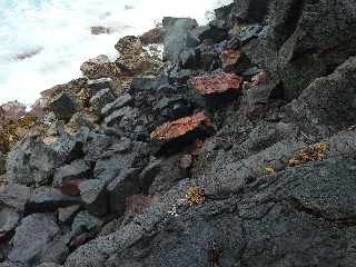 St-Philippe - Littoral  - Mer Casse - Effondrements