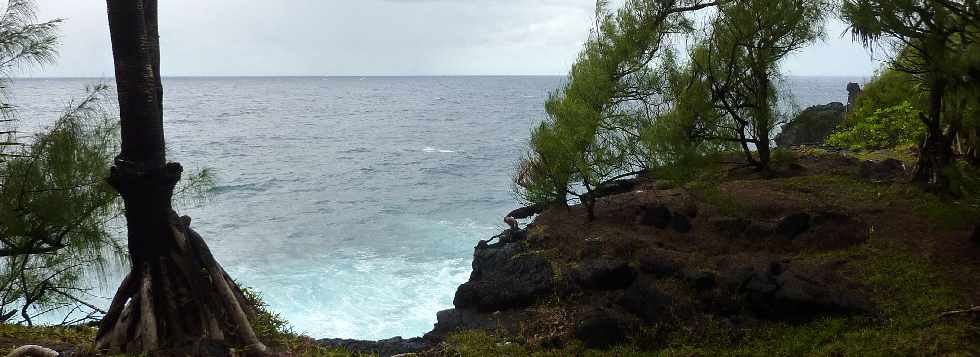 St-Philippe - Littoral  - Filaos