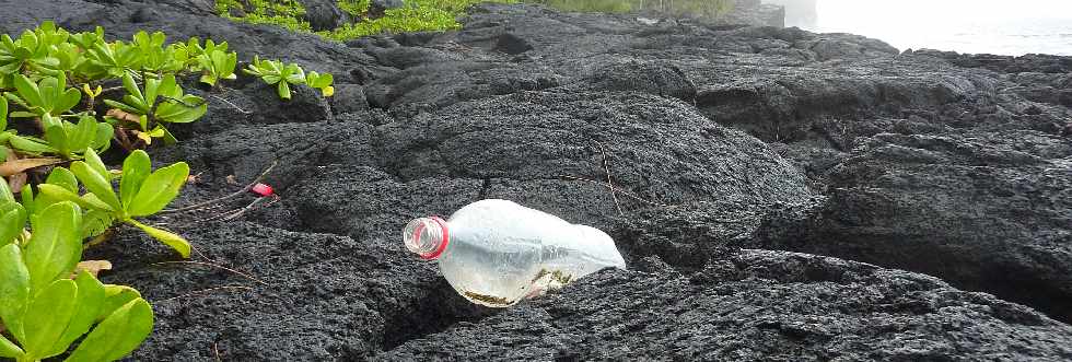 St-Philippe - Littoral  - Manioc marron bord'mer et bouteilles vides