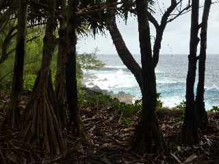 St-Philippe - Ctes entre la Mer Casse et la Marine -Vacoas