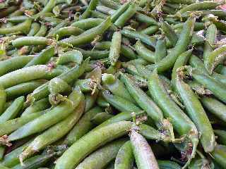 St-Pierre - March forain - Petits pois "Snateur"