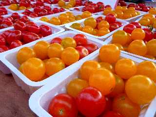 St-Pierre - Marché forain - Tomates