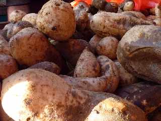 St-Pierre - March forain - Patates douces