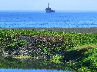 Baie de St-Paul - L'albatros