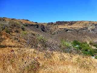 St-Paul - Au sud du Cap la Marianne - Savane