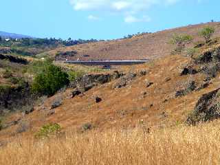 St-Paul - Savane au-dessus du Cap la Marianne - Vue sur la route des Tamarins