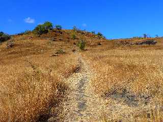 St-Paul - Savane au-dessus du Cap la Marianne - Sentier pav