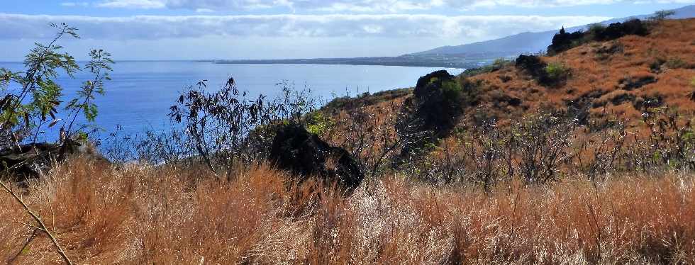 St-Paul - Savane au-dessus du Cap la Marianne