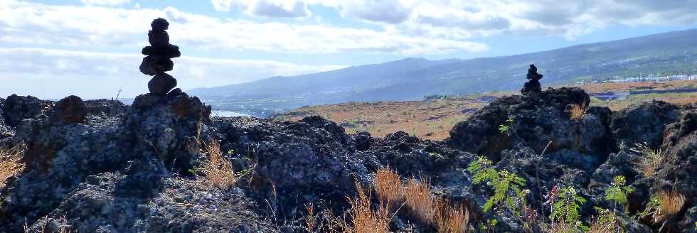 St-Paul - Savane au-dessus de la Barrire - Cairns