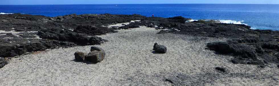 Cap la Houssaye - Pointe du Milieu