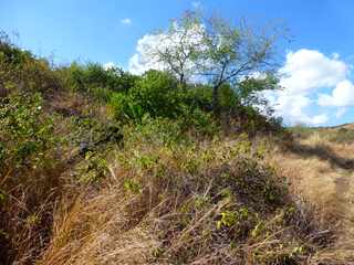 St-Paul -  Ravine Fleurimont