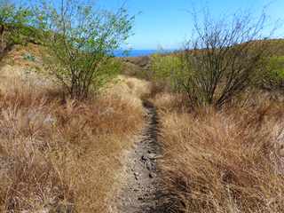 Sentier de descente dans le Petit Bras Canot