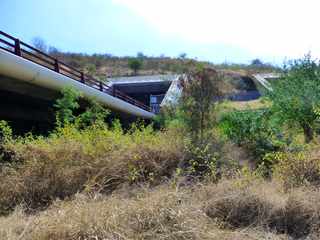 Sentier dans  le Petit Bras Canot  - St-Paul - Tunnels du Cap la Houssaye