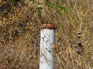 Sentier dans le Petit Bras Canot  - St-Paul - Point d'arpentage