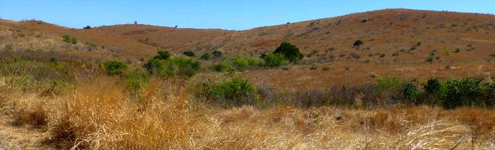 Savane de Saint-Paul - Cap la Houssaye -  Ravine Boucan Canot