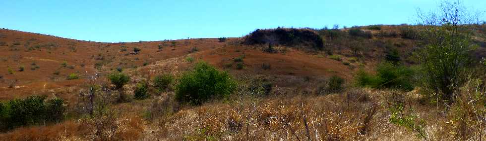 Savane de Saint-Paul - Cap la Houssaye - Ravine Boucan Canot