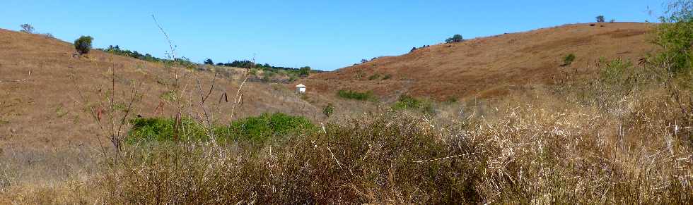 Savane de Saint-Paul - Cap la Houssaye - Ravine Boucan Canot