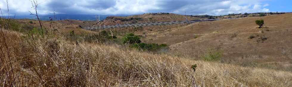 Savane de Saint-Paul -  Diffuseur de l'Eperon