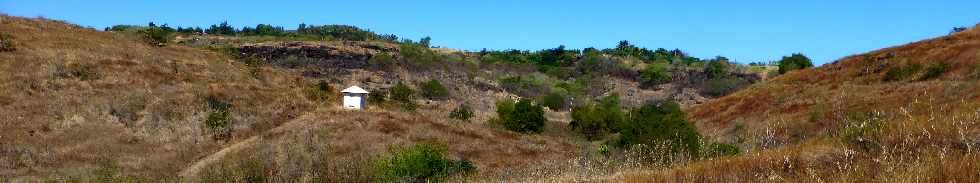 Savane de Saint-Paul - Ravine Boucan Canot