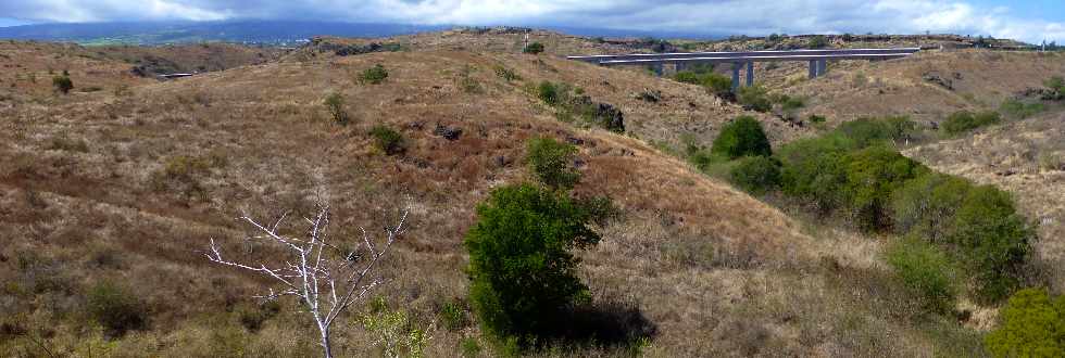 Savane de Saint-Paul - Viaduc du Bras Boucan Canot