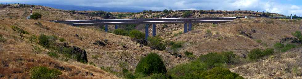 Savane de Saint-Paul - Viaduc du Bras Boucan Canot