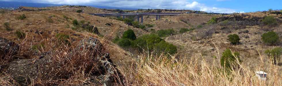 Savane de Saint-Paul -Viaduc du Bras Boucan Canot