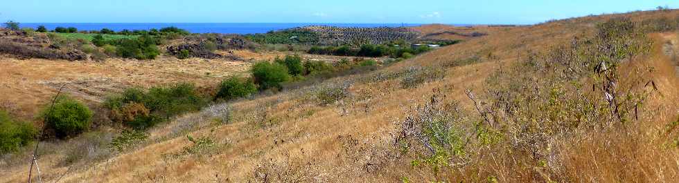 Savane de Saint-Paul - Cap la Houssaye -