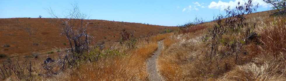 Savane de Saint-Paul - Cap la Houssaye -