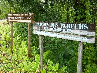 St-Philippe - Semaine Bleue 2012 - Balade dans la forêt de Mare Longue - Table Guimard - Jardin des parfums et des épices