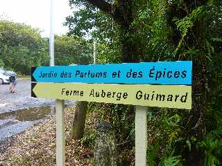 St-Philippe - Semaine Bleue 2012 - Balade dans la forêt de Mare Longue