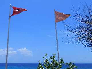 St-Paul - Boucan Canot - La plage - Drapeaux