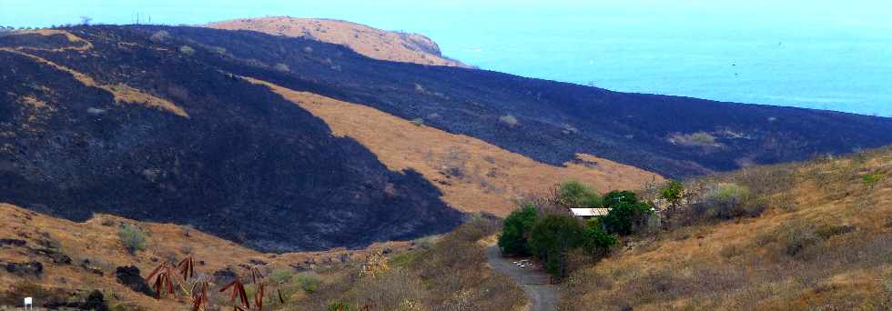 St-Paul -  Incendies du 16 octobre 2012 au Cap la Houssaye