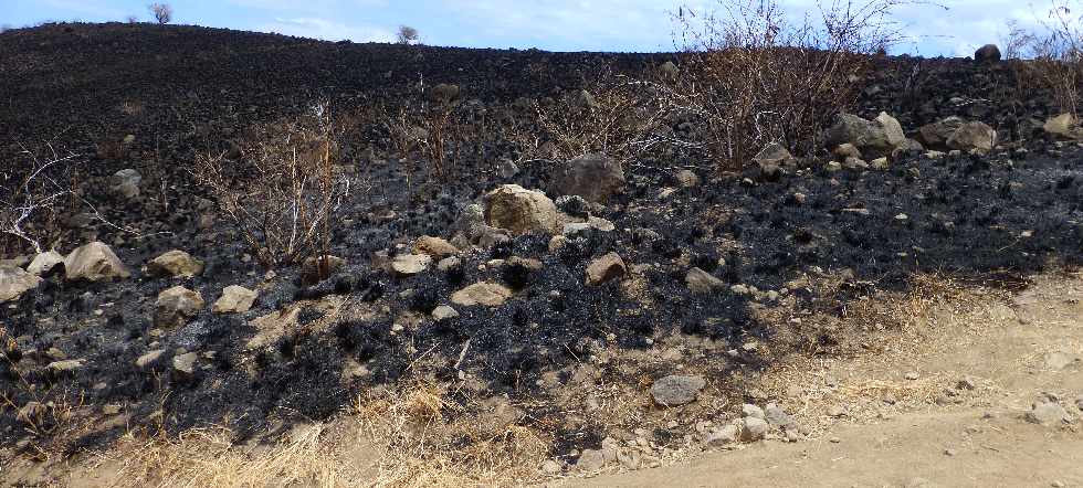 St-Paul - Cap la Houssaye - Incendies du 16 octobre 2012