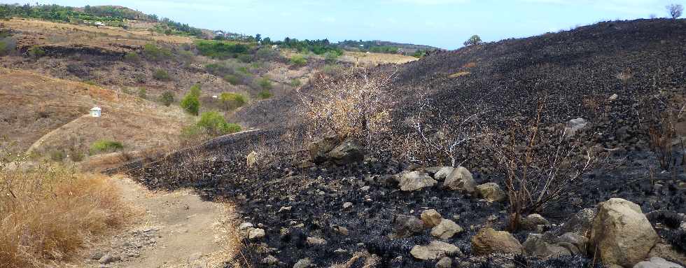 St-Paul - Cap la Houssaye - Incendies du 16 octobre 2012