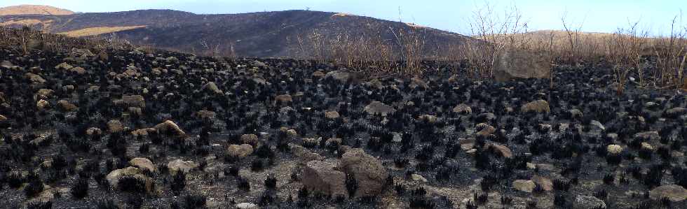 St-Paul - Cap la Houssaye - Incendies du 16 octobre 2012